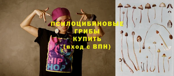 бутират Алзамай